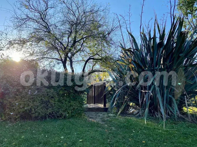 Özel Sarıyer The British International School Preschool