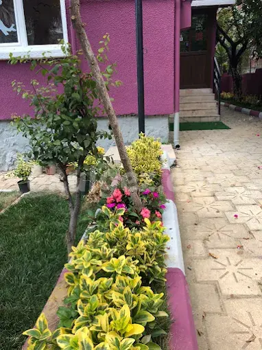 Özel Şeker Çocuklar Anaokulu