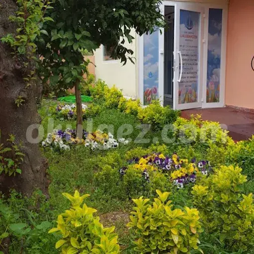 Özel Şerifali Lale Bahçesi Anaokulu