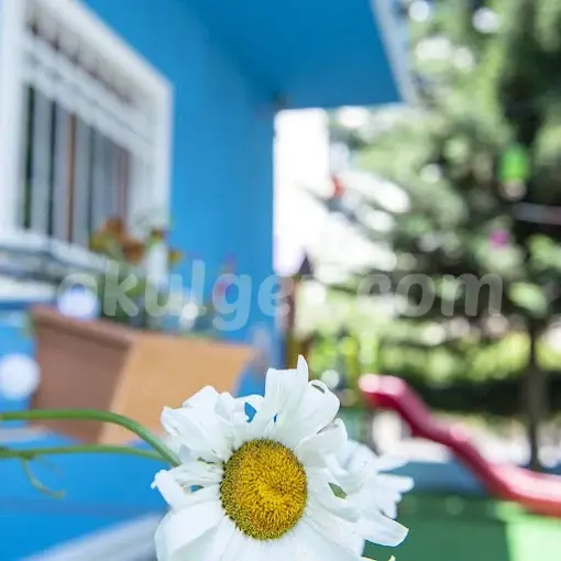 Özel Serüven Anaokulu