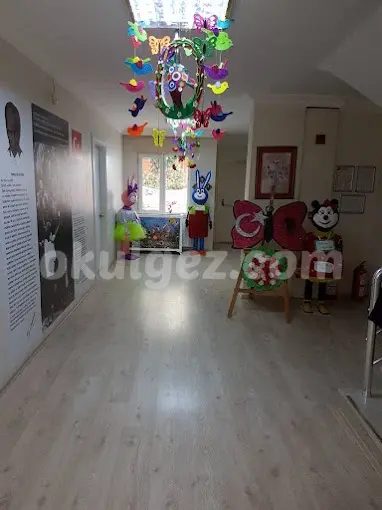 Özel Sevgi Ağacı Anaokulu