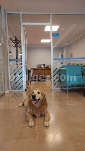 Özel Sezon Özel Öğretim Kursu