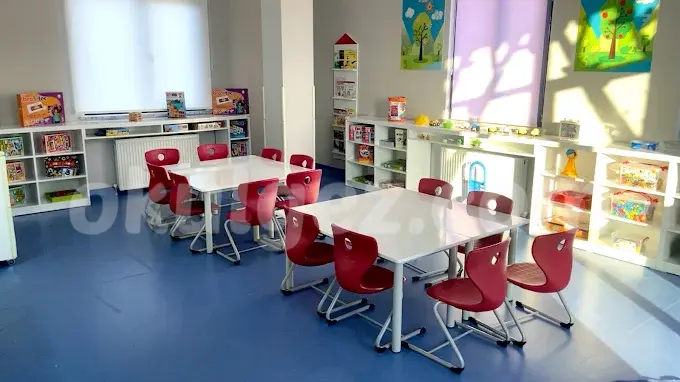 Özel Madenler Sınav Koleji Anaokulu