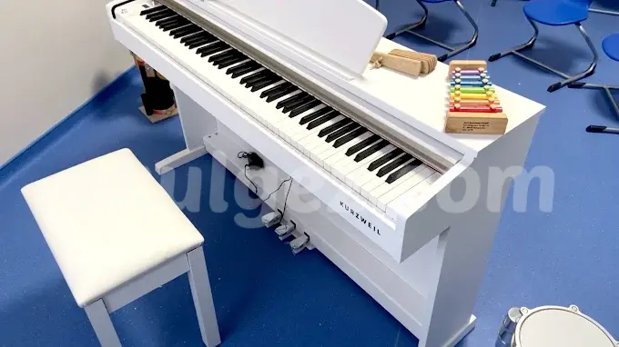 Özel Sınav Koleji Madenler Anaokulu