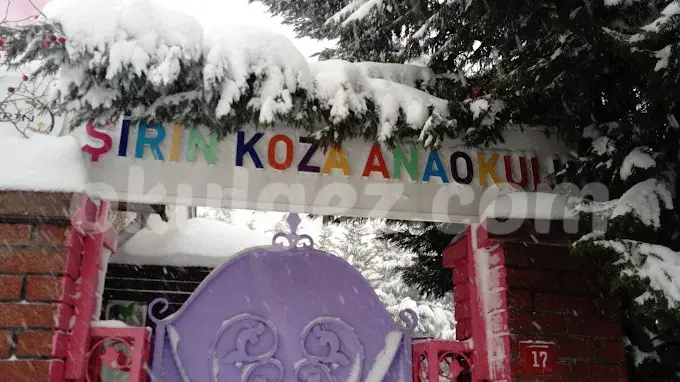 Özel Şirin Koza Anaokulu