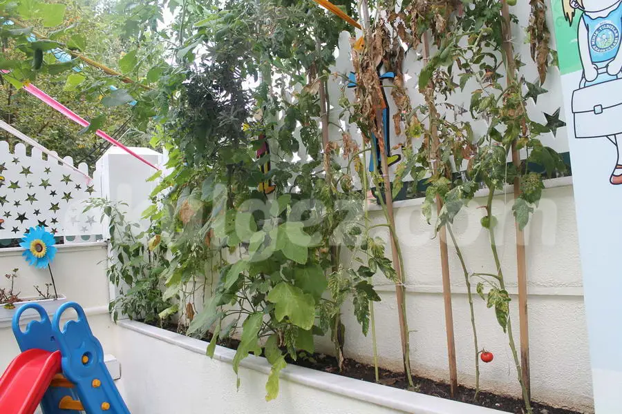 Özel Şişli Minik Yıldızlar Anaokulu