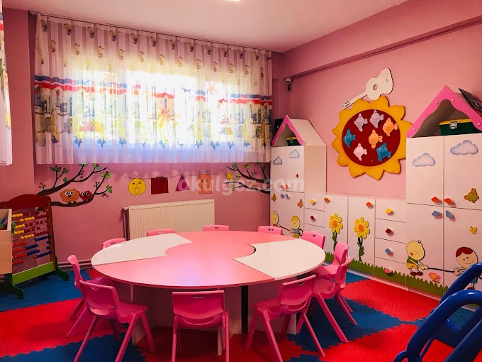 Özel Son Gülüm Anaokulu