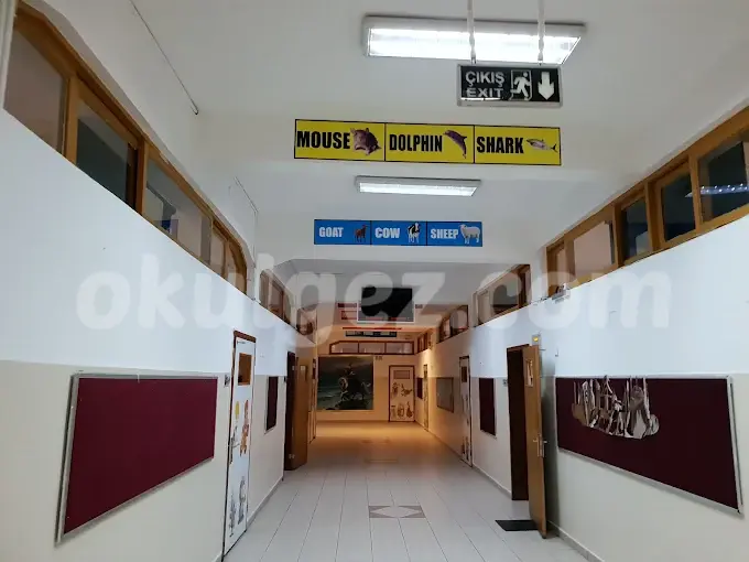 Özel Sultan Fatih Koleji Anaokulu