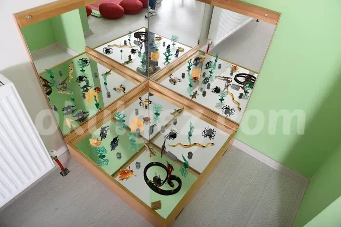 Özel TAD Anaokulu Çekmeköy Türk Amerikan Derneği Anaokulu