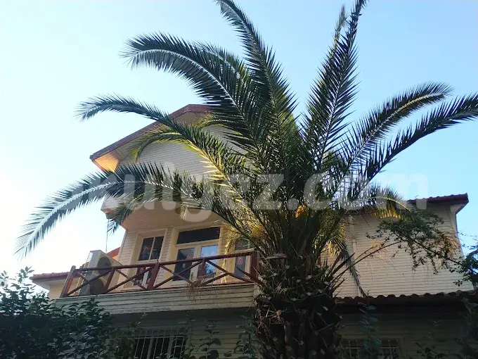 Özel Tanyuva Anaokulu