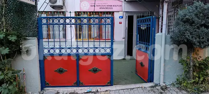 Özel Tepeüstü Minik Kalpler Anaokulu