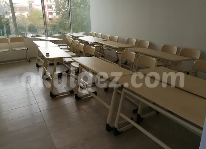 Özel Tulip International School Anaokulu