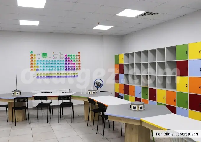 Özel Tüzyev Mozaik Anaokulu