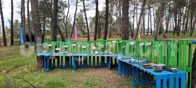 Özel Tüzyev Mozaik Anaokulu