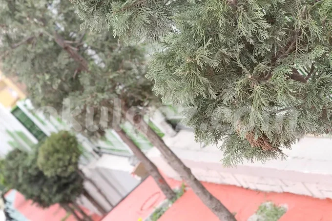 Özel Dudullu Erse Okulları Anaokulu