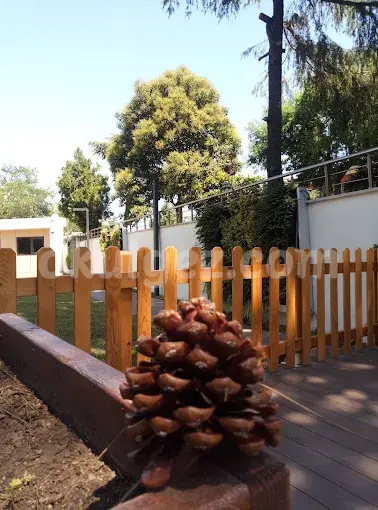 Özel UNiK International Anaokulu