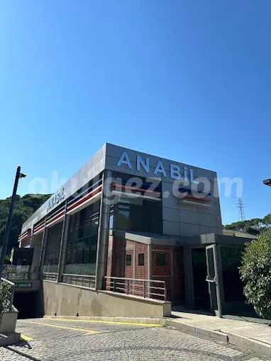 Özel Vadi İstanbul Anabil Anaokulu