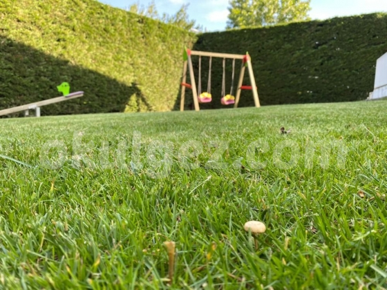 Özel YAPA Çekmeköy Anaokulu