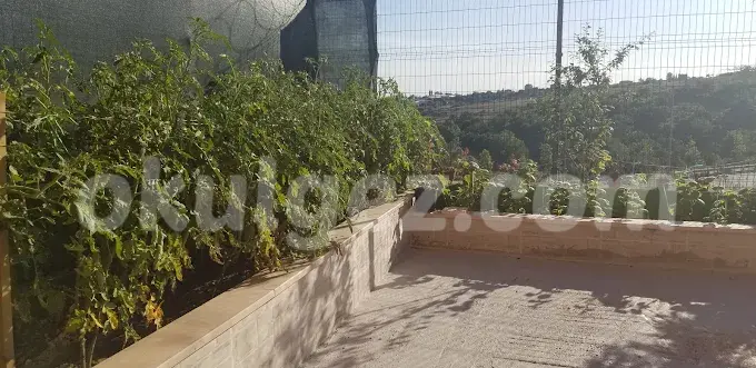 Özel Yükselen Çocuk Anaokulu