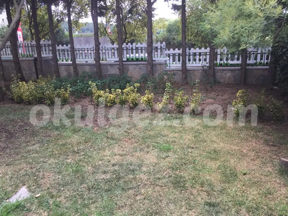 Özel Zekeriyaköy AKD Kids Anaokulu