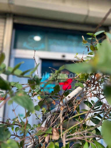 Özel Zümrüdü Anka Anaokulu