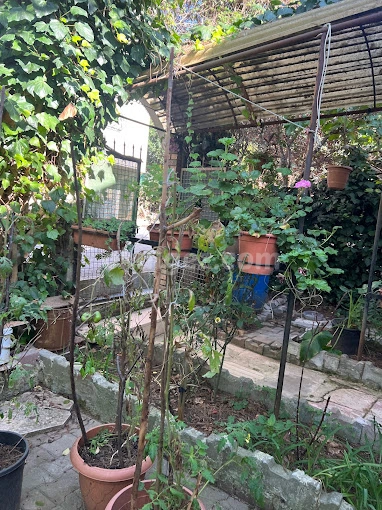 Özel Zümrüdü Anka Anaokulu