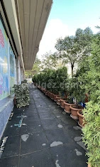 Özel Zümrüdü Anka Anaokulu